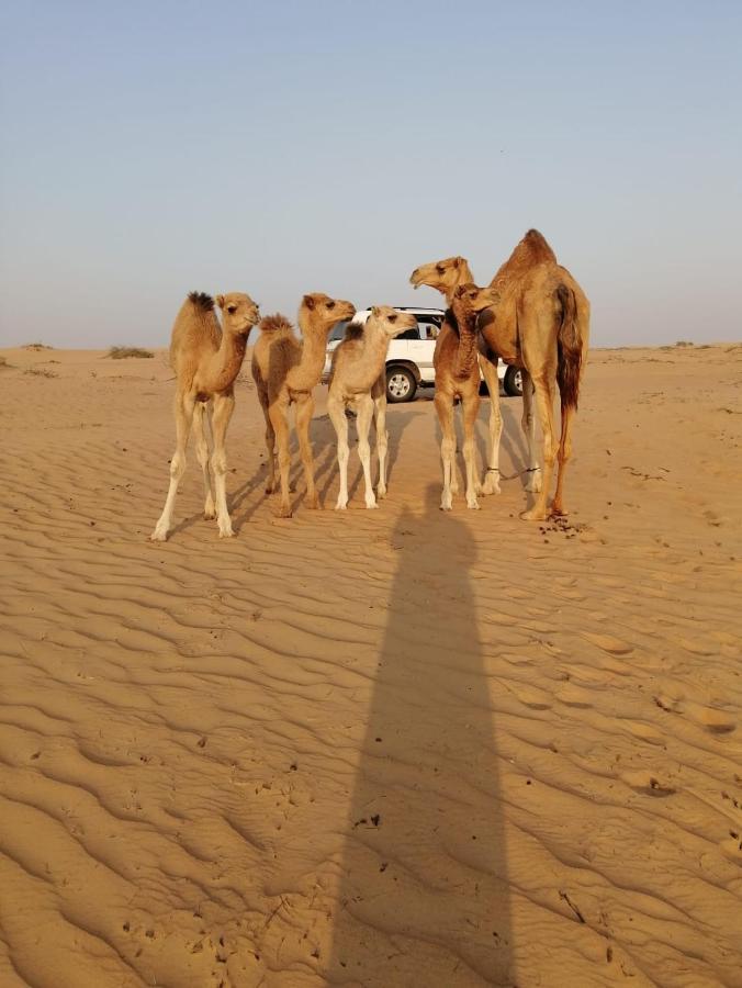 Golden Palm Oasis Hotel Fulayj al Masha'ikh Екстериор снимка