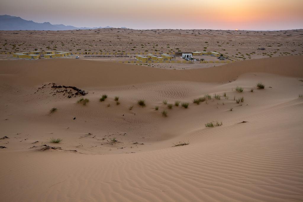 Golden Palm Oasis Hotel Fulayj al Masha'ikh Екстериор снимка